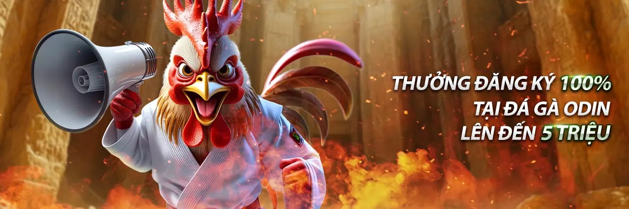 Điều khoản và điều kiện sử dụng HM88 Casino